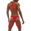 red-briefs-harness